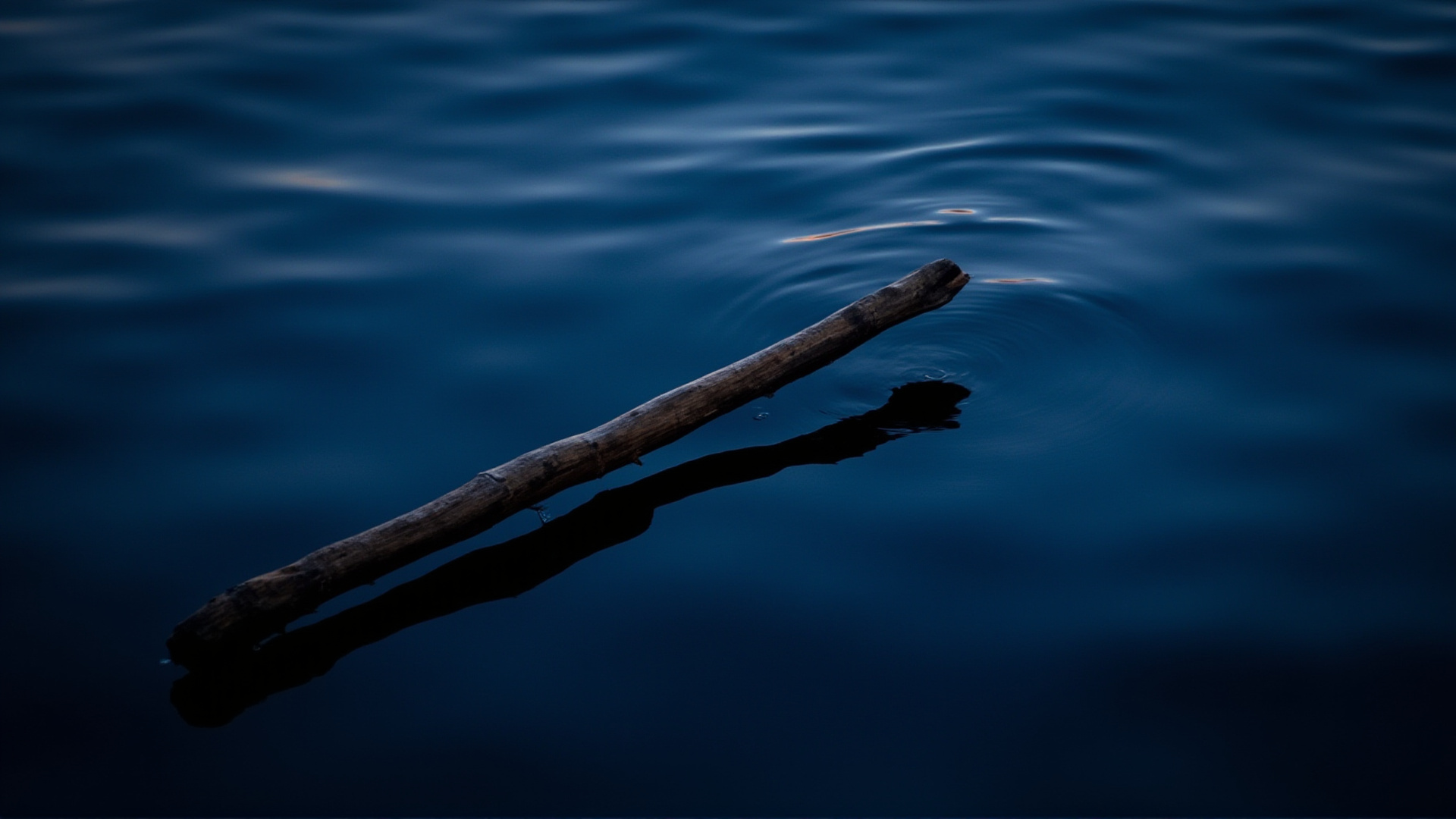 The Hundred Hooks